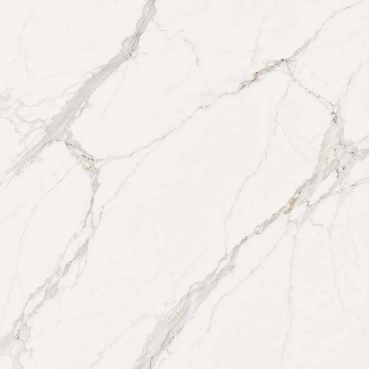Statuario Prime Texture