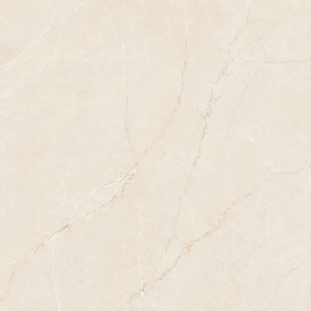 Ivory Vein Texture